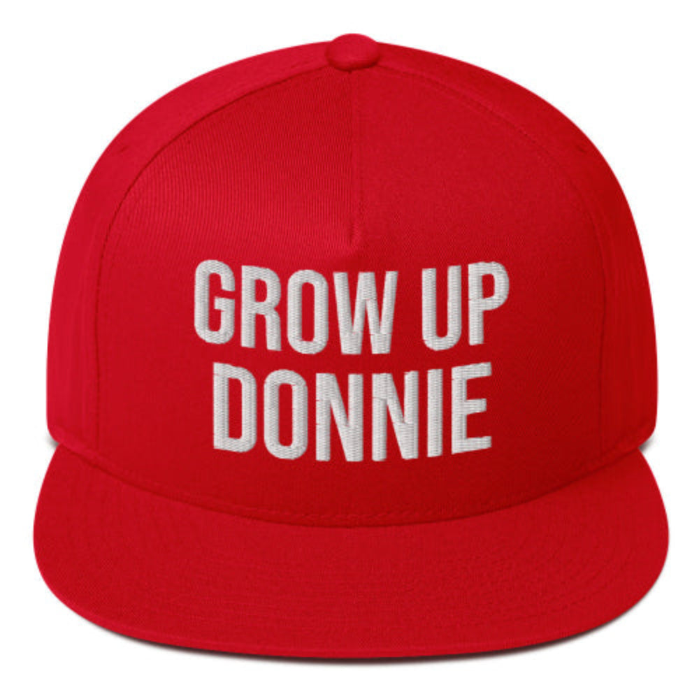 Grow up Donnie – Civil Heresy Protest Flat Bill Cap