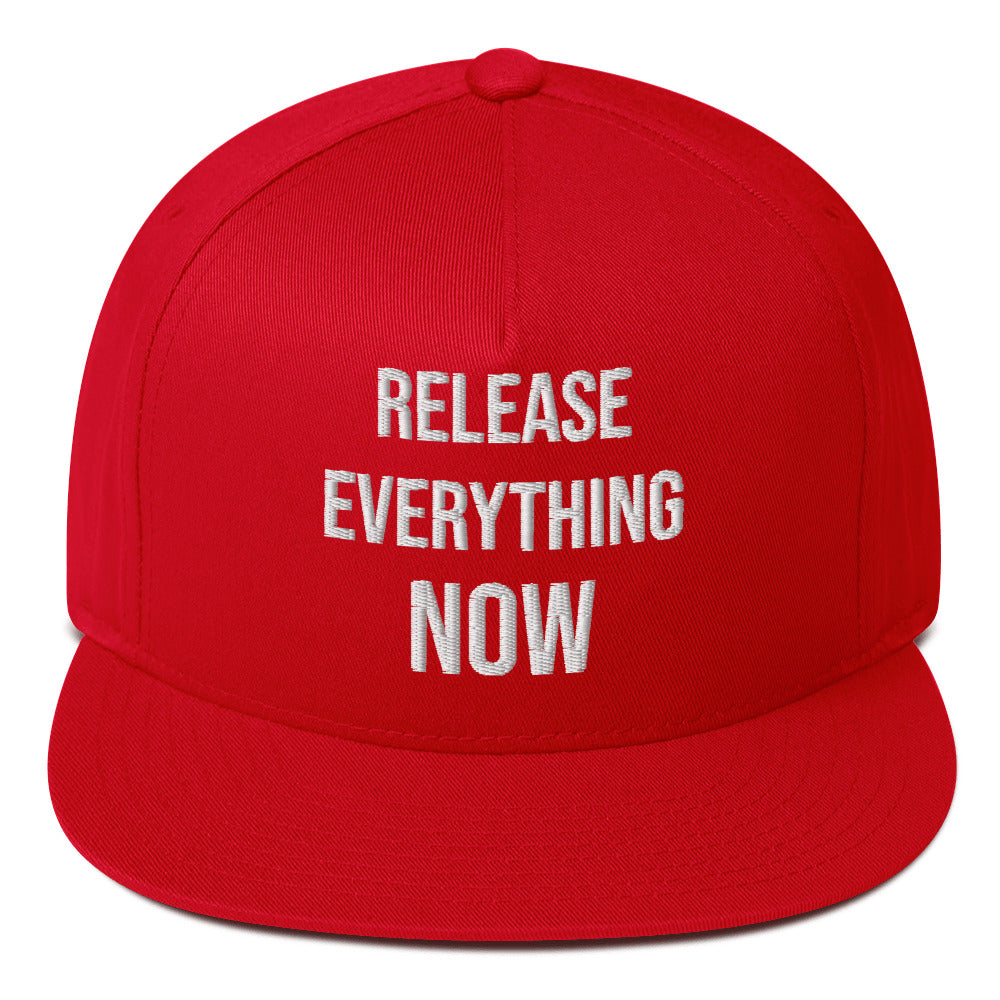 Release Everything Now – Civil Heresy Protest Flat Bill Cap